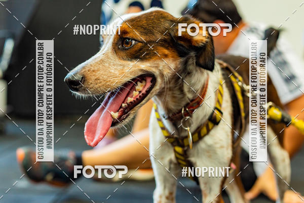 Buy your photos of the eventDog Wod - Crossfit Saurus on Fotop