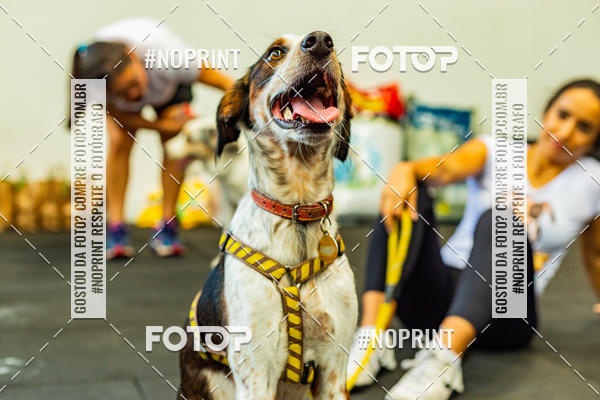 Buy your photos of the eventDog Wod - Crossfit Saurus on Fotop