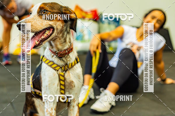 Buy your photos of the eventDog Wod - Crossfit Saurus on Fotop
