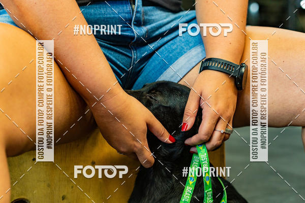 Buy your photos of the eventDog Wod - Crossfit Saurus on Fotop