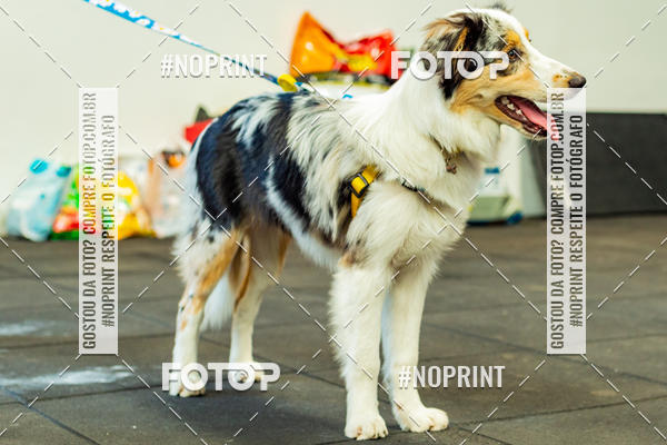 Buy your photos of the eventDog Wod - Crossfit Saurus on Fotop