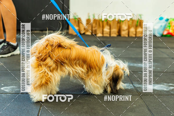 Buy your photos of the eventDog Wod - Crossfit Saurus on Fotop
