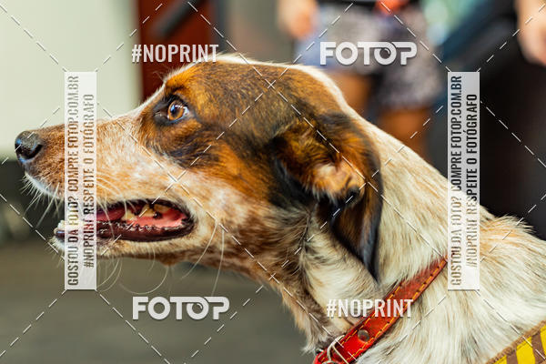 Buy your photos of the eventDog Wod - Crossfit Saurus on Fotop