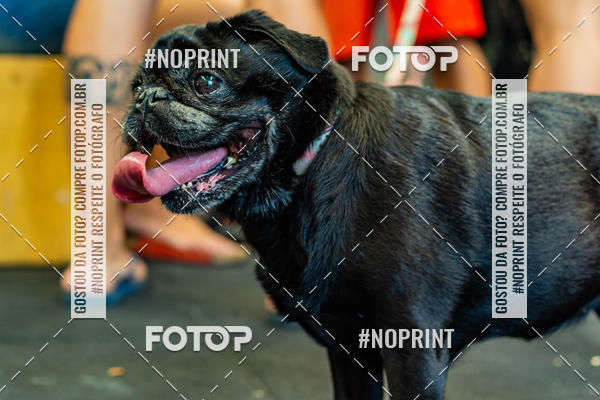 Buy your photos of the eventDog Wod - Crossfit Saurus on Fotop