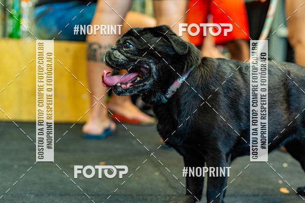 Buy your photos of the eventDog Wod - Crossfit Saurus on Fotop