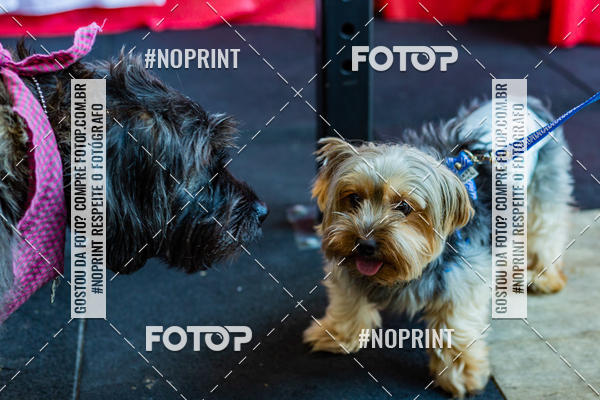 Buy your photos of the eventDog Wod - Crossfit Saurus on Fotop