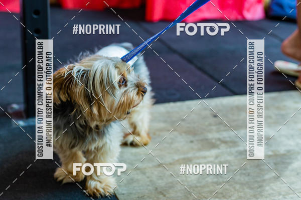 Buy your photos of the eventDog Wod - Crossfit Saurus on Fotop