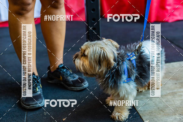 Buy your photos of the eventDog Wod - Crossfit Saurus on Fotop