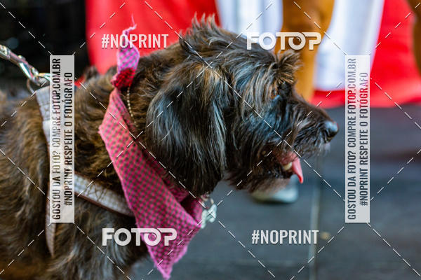 Buy your photos of the eventDog Wod - Crossfit Saurus on Fotop