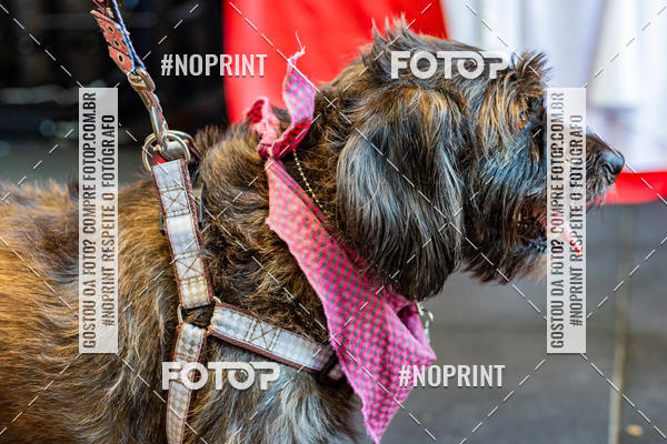 Buy your photos of the eventDog Wod - Crossfit Saurus on Fotop