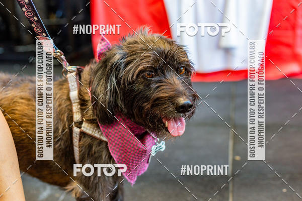 Buy your photos of the eventDog Wod - Crossfit Saurus on Fotop