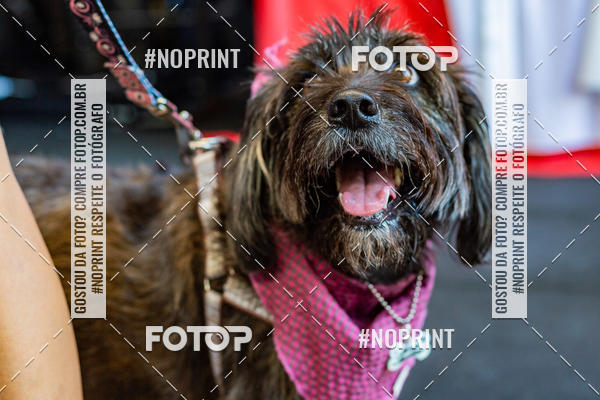 Buy your photos of the eventDog Wod - Crossfit Saurus on Fotop