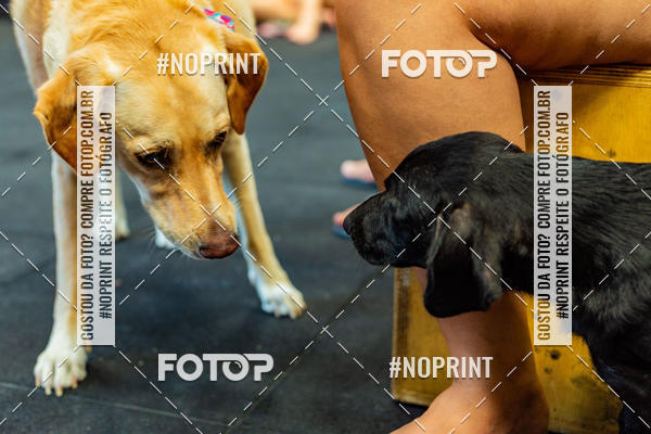 Buy your photos of the eventDog Wod - Crossfit Saurus on Fotop