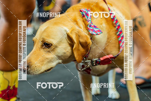 Buy your photos of the eventDog Wod - Crossfit Saurus on Fotop