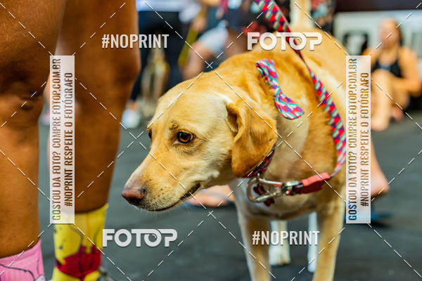Buy your photos of the eventDog Wod - Crossfit Saurus on Fotop