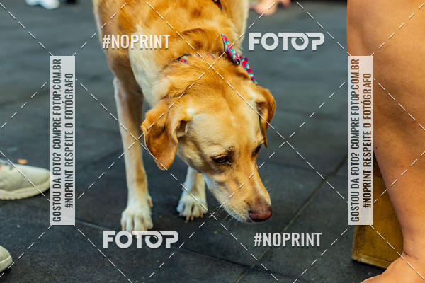 Buy your photos of the eventDog Wod - Crossfit Saurus on Fotop