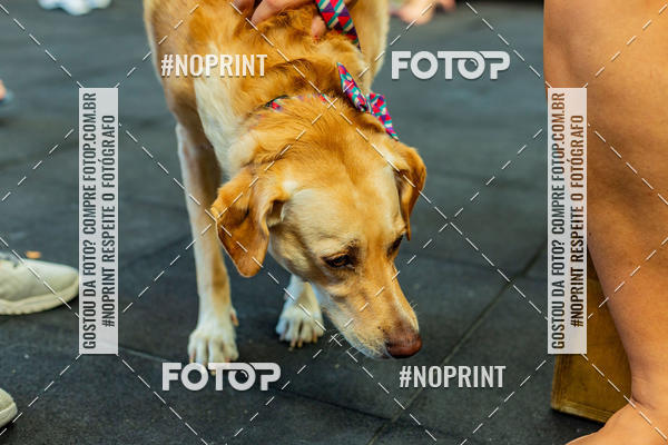 Buy your photos of the eventDog Wod - Crossfit Saurus on Fotop