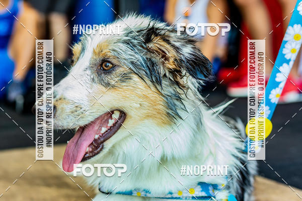 Buy your photos of the eventDog Wod - Crossfit Saurus on Fotop