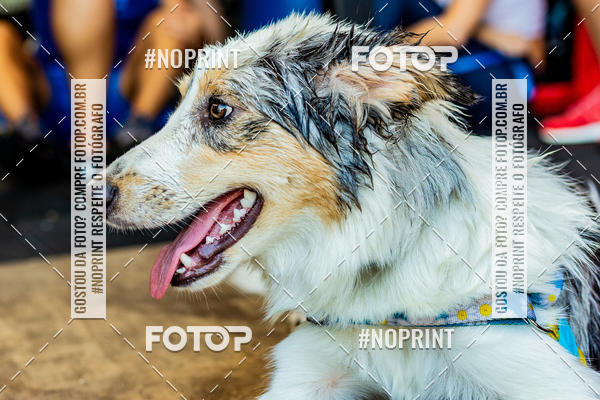 Buy your photos of the eventDog Wod - Crossfit Saurus on Fotop