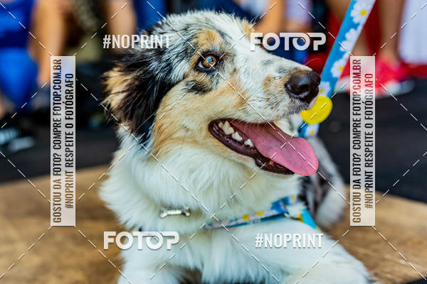 Buy your photos of the eventDog Wod - Crossfit Saurus on Fotop