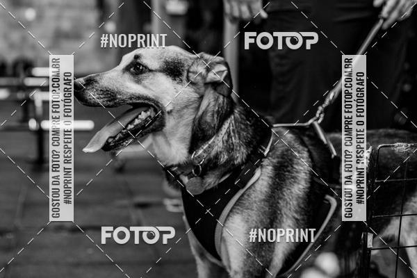 Buy your photos of the eventDog Wod - Crossfit Saurus on Fotop