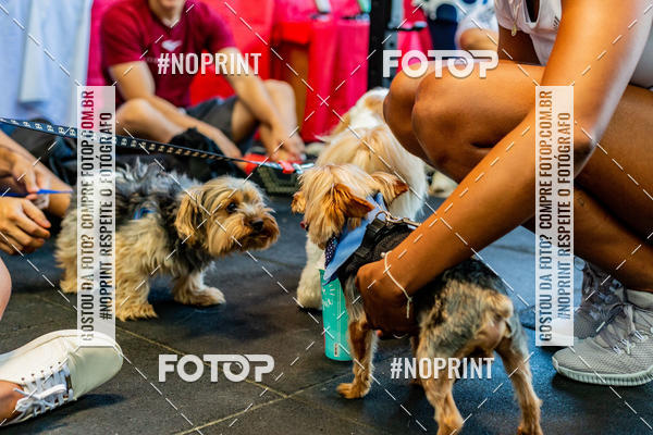 Buy your photos of the eventDog Wod - Crossfit Saurus on Fotop
