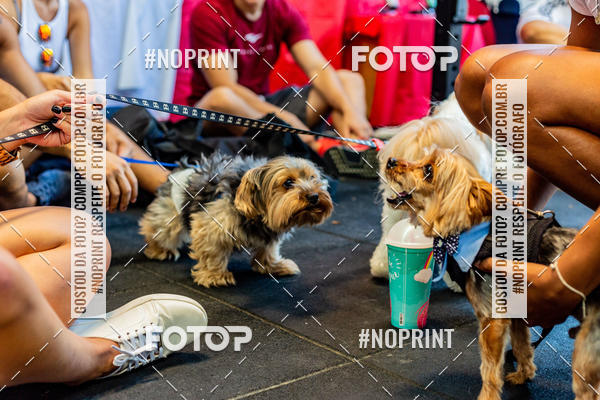 Buy your photos of the eventDog Wod - Crossfit Saurus on Fotop