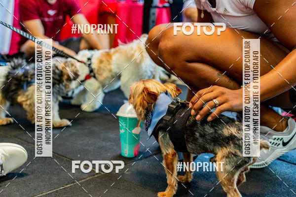 Buy your photos of the eventDog Wod - Crossfit Saurus on Fotop