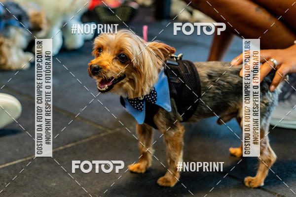 Buy your photos of the eventDog Wod - Crossfit Saurus on Fotop