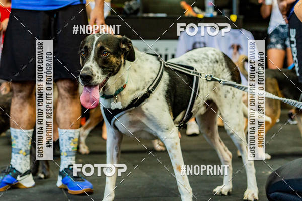 Buy your photos of the eventDog Wod - Crossfit Saurus on Fotop