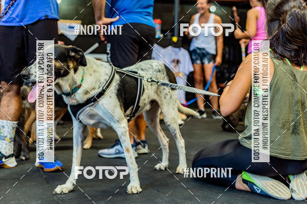 Buy your photos of the eventDog Wod - Crossfit Saurus on Fotop