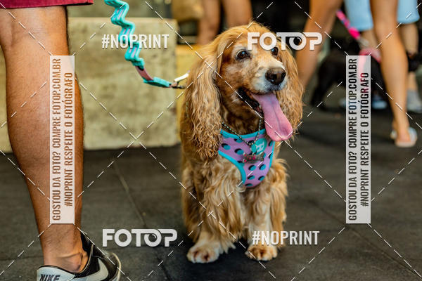 Buy your photos of the eventDog Wod - Crossfit Saurus on Fotop