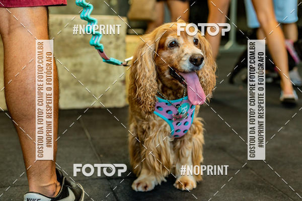Buy your photos of the eventDog Wod - Crossfit Saurus on Fotop