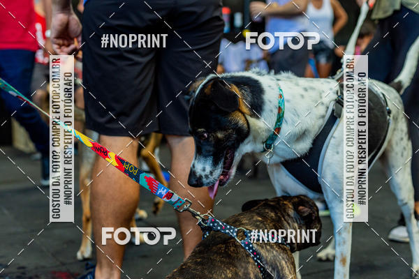Buy your photos of the eventDog Wod - Crossfit Saurus on Fotop