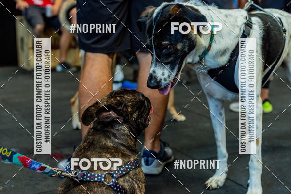 Buy your photos of the eventDog Wod - Crossfit Saurus on Fotop