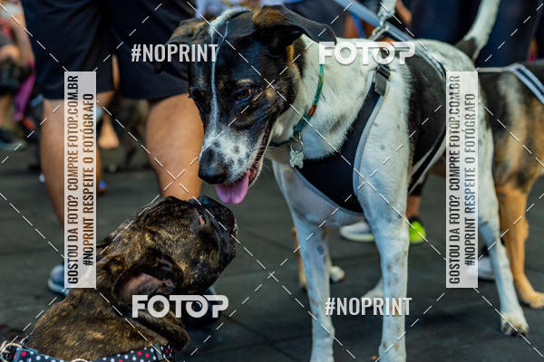 Buy your photos of the eventDog Wod - Crossfit Saurus on Fotop