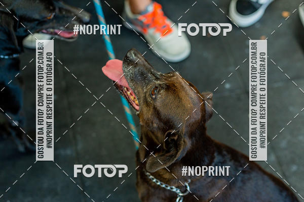 Buy your photos of the eventDog Wod - Crossfit Saurus on Fotop