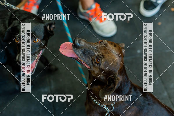 Buy your photos of the eventDog Wod - Crossfit Saurus on Fotop