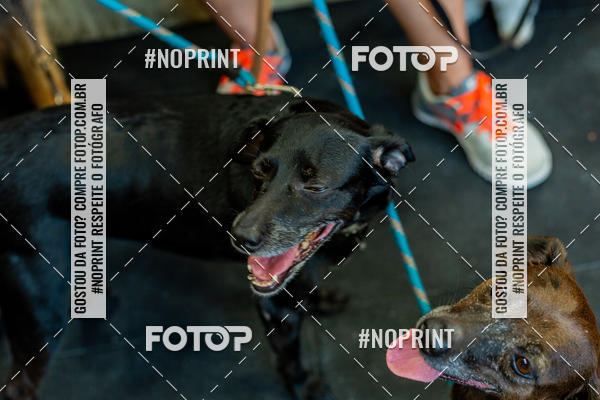 Buy your photos of the eventDog Wod - Crossfit Saurus on Fotop