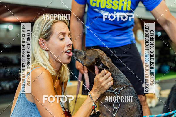Buy your photos of the eventDog Wod - Crossfit Saurus on Fotop
