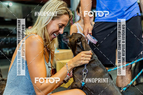 Buy your photos of the eventDog Wod - Crossfit Saurus on Fotop