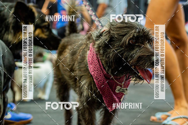 Buy your photos of the eventDog Wod - Crossfit Saurus on Fotop