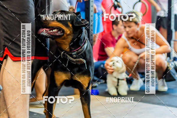 Buy your photos of the eventDog Wod - Crossfit Saurus on Fotop