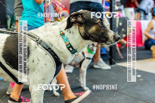 Buy your photos of the eventDog Wod - Crossfit Saurus on Fotop