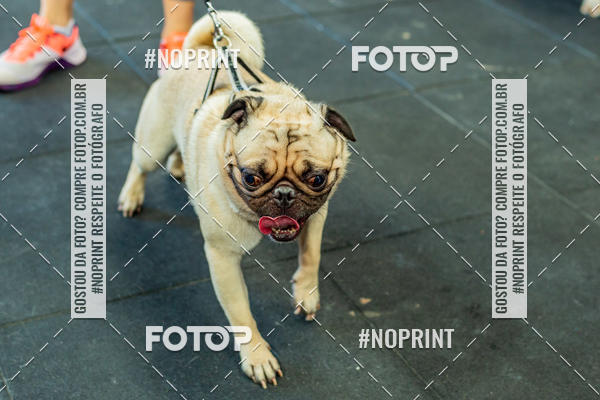 Buy your photos of the eventDog Wod - Crossfit Saurus on Fotop