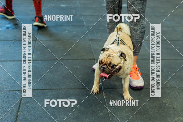 Buy your photos of the eventDog Wod - Crossfit Saurus on Fotop
