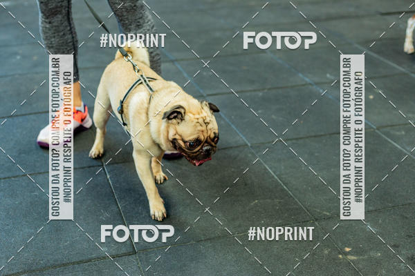 Buy your photos of the eventDog Wod - Crossfit Saurus on Fotop
