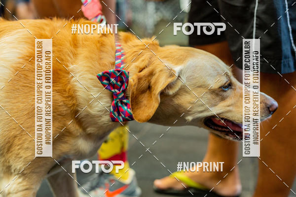 Buy your photos of the eventDog Wod - Crossfit Saurus on Fotop