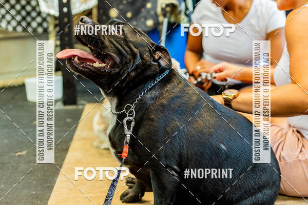 Buy your photos of the eventDog Wod - Crossfit Saurus on Fotop