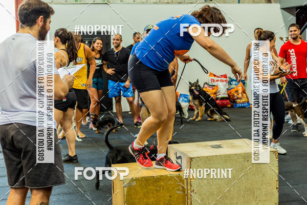 Buy your photos of the eventDog Wod - Crossfit Saurus on Fotop